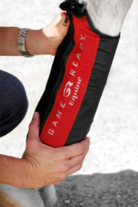 Game Ready Equine Active Compression